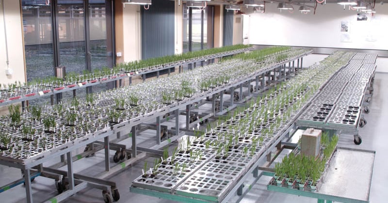 Food processing production facility